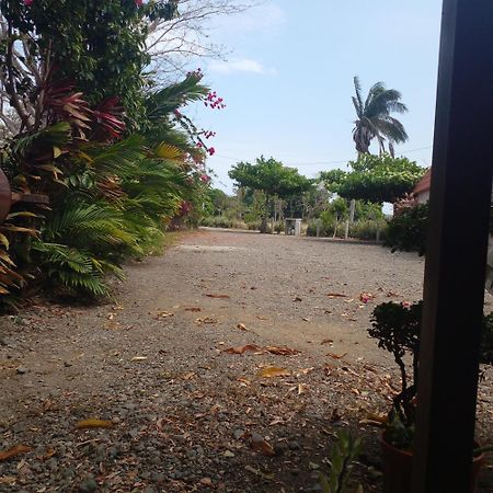 Cabanas Martina Surf Playa Guanico Pedregal Bagian luar foto